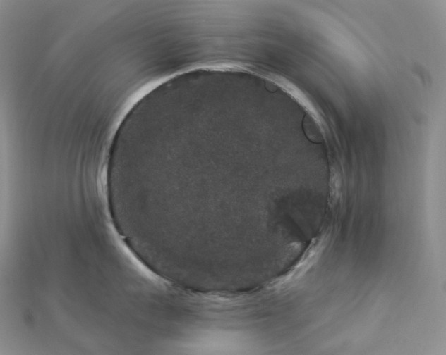 X0000112900959200908211513