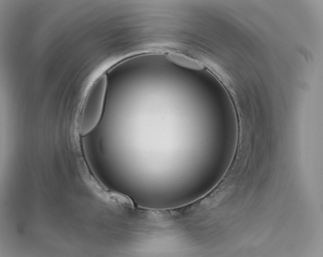 X0000112900960200908211513