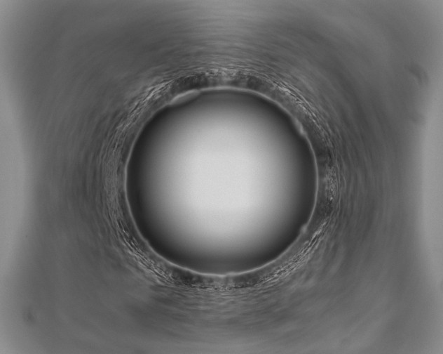 X0000112900961200908211512