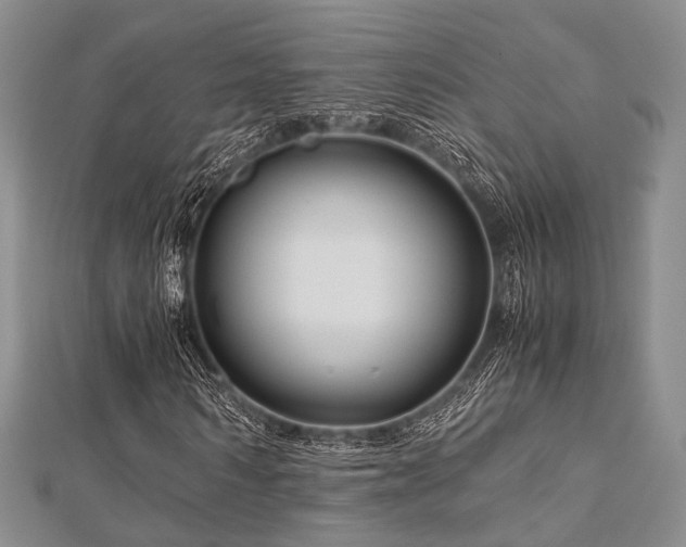 X0000112900962200908211512