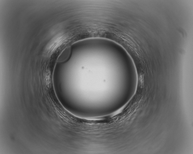 X0000112900963200908211512