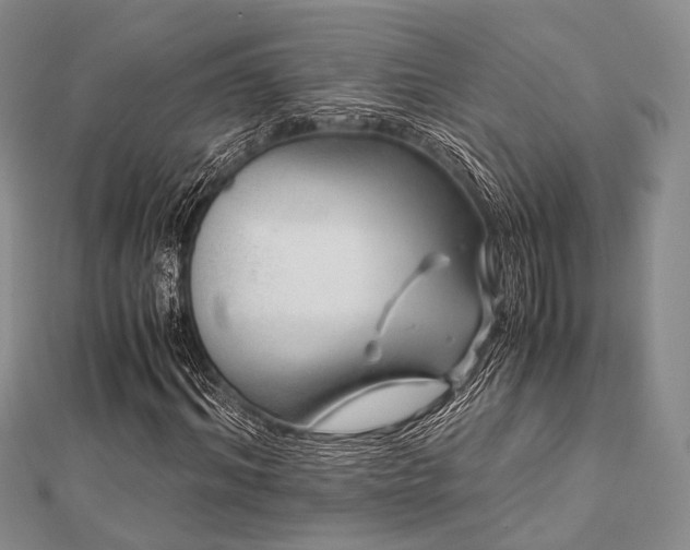 X0000112900964200908211512