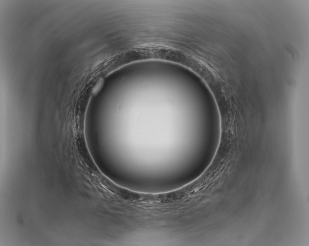 X0000112900965200908211512