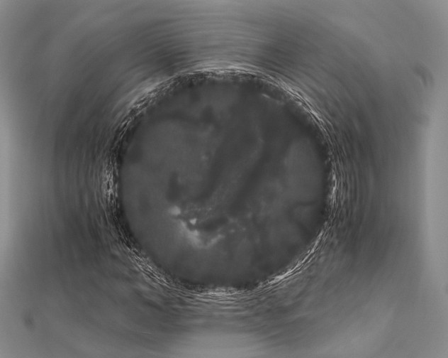 X0000112900966200908211512