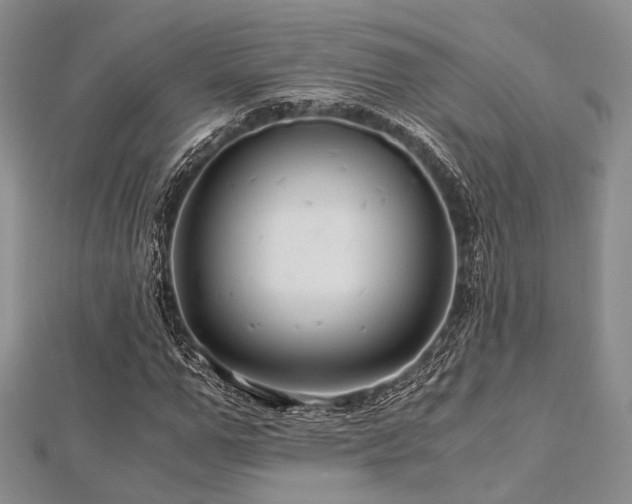 X0000112900967200908211512