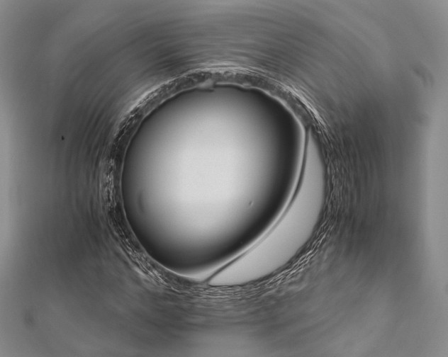 X0000112900968200908211512