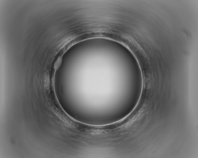 X0000112900969200908211512