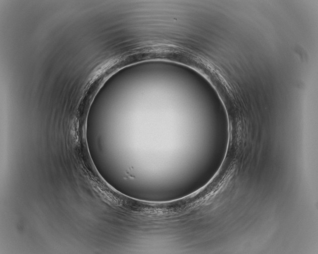X0000112900970200908211512