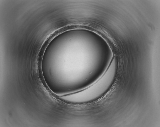 X0000112900972200908211512