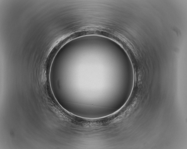 X0000112900973200908211512