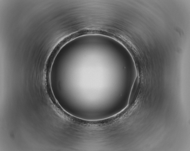 X0000112900976200908211512