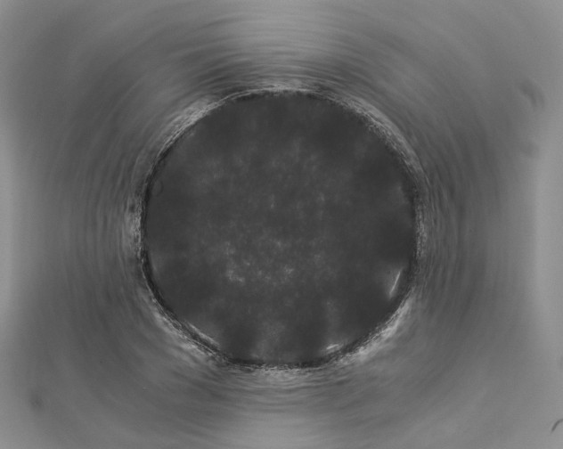 X0000112900977200908211512