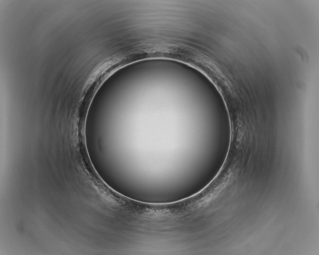 X0000112900978200908211512