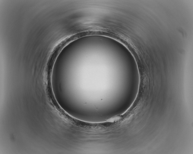 X0000112900979200908211512