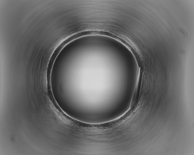 X0000112900980200908211512