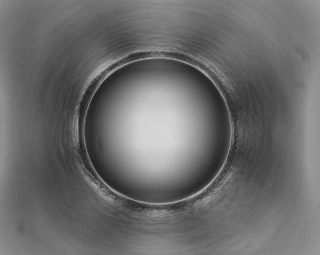 X0000112900982200908211512