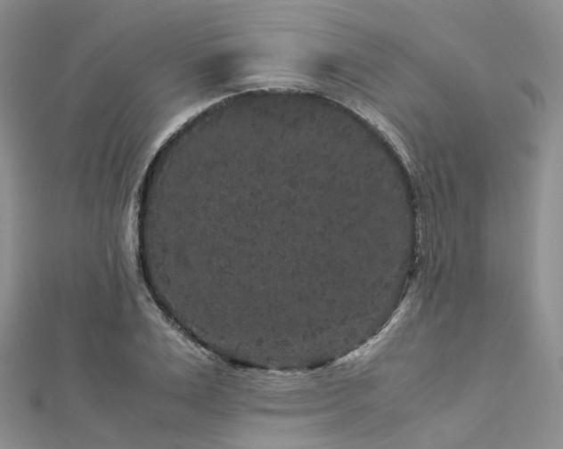 X0000112900983200908211512