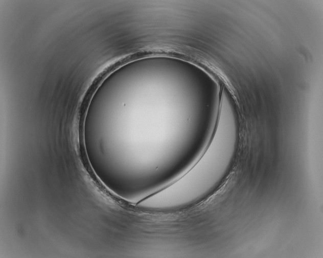 X0000112900984200908211512