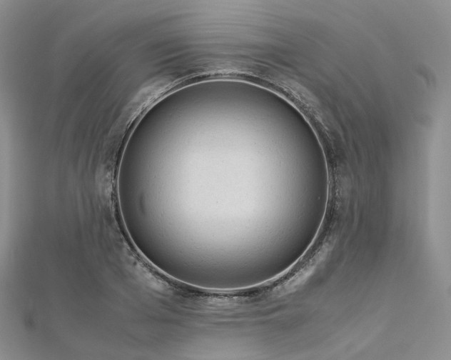 X0000112900985200908211512