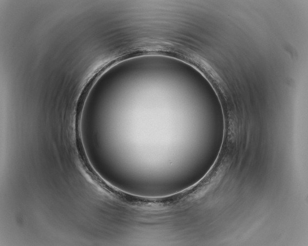 X0000112900986200908211512