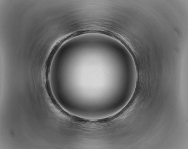X0000112900987200908211512
