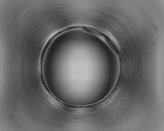 X0000112900988200908211512