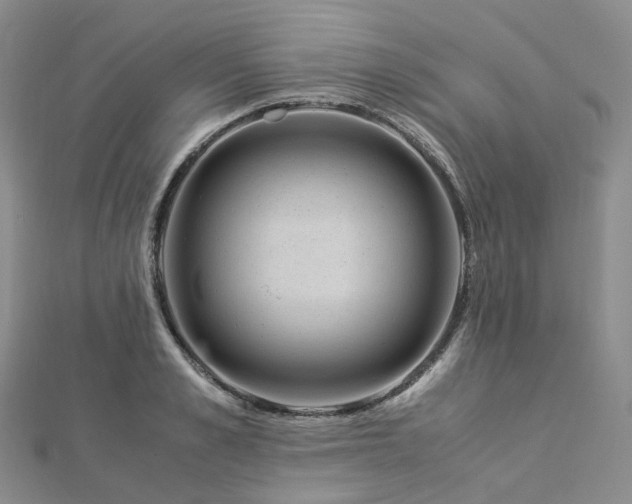X0000112900989200908211512