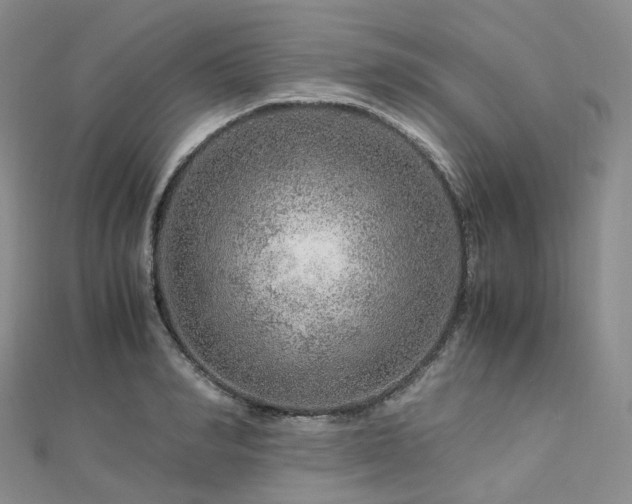 X0000112900990200908211512