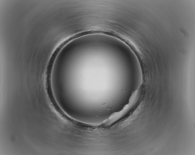 X0000112900991200908211512