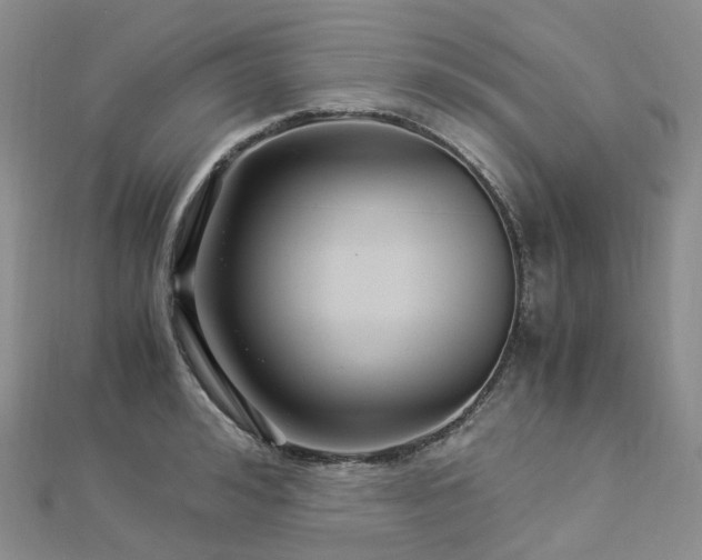 X0000112900992200908211512