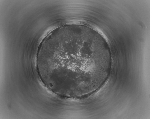 X0000112900994200908211512