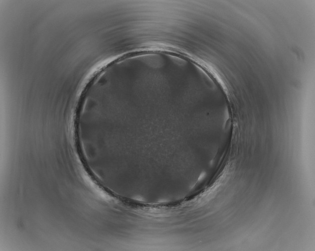 X0000112900995200908211512