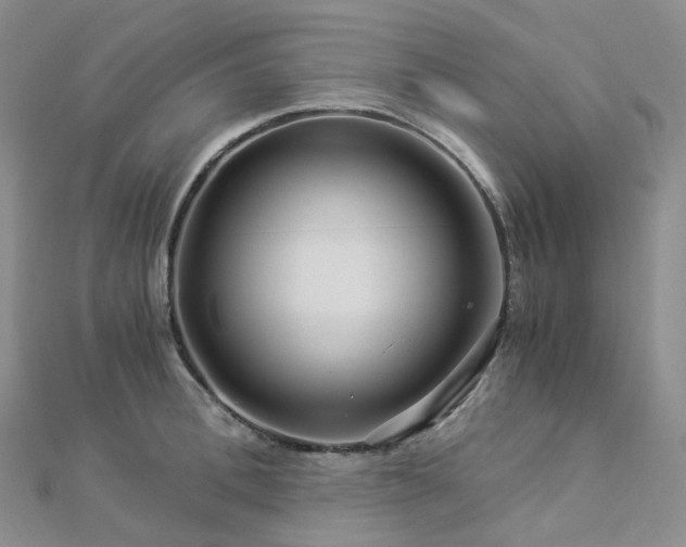 X0000112900996200908211512
