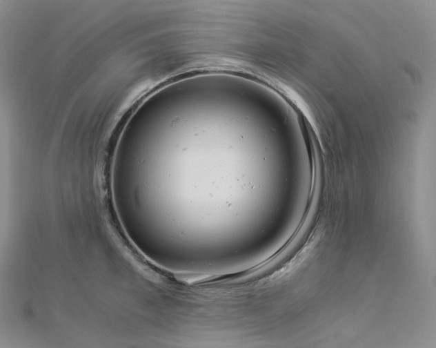 X0000112900997200908211512