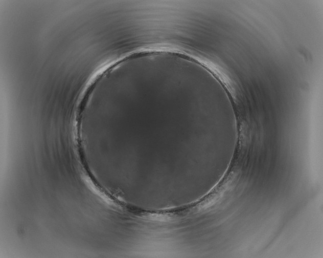 X0000112900998200908211512