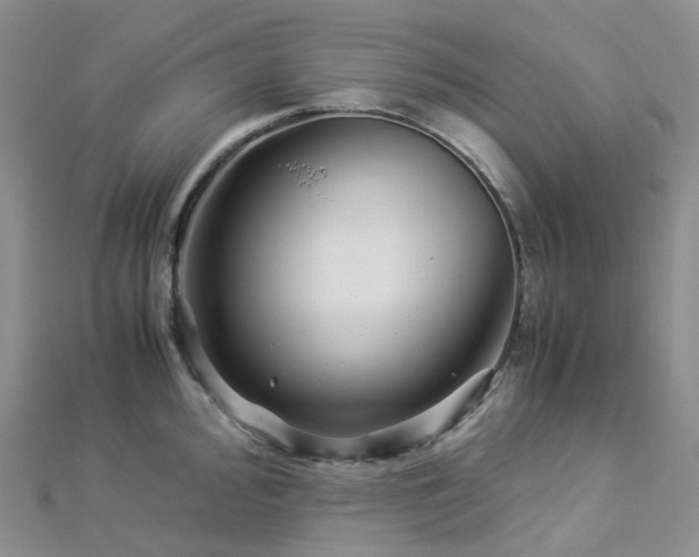 X0000112901000200908211512
