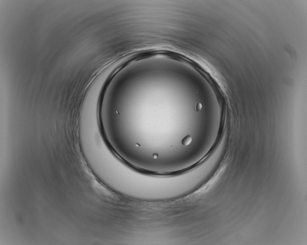 X0000112901001200908211512