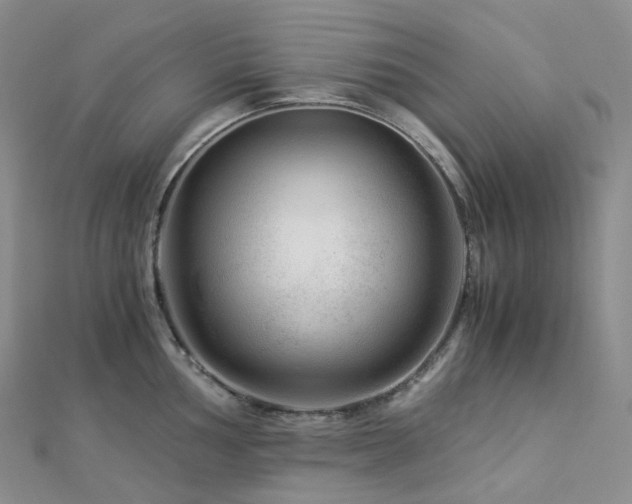 X0000112901002200908211512