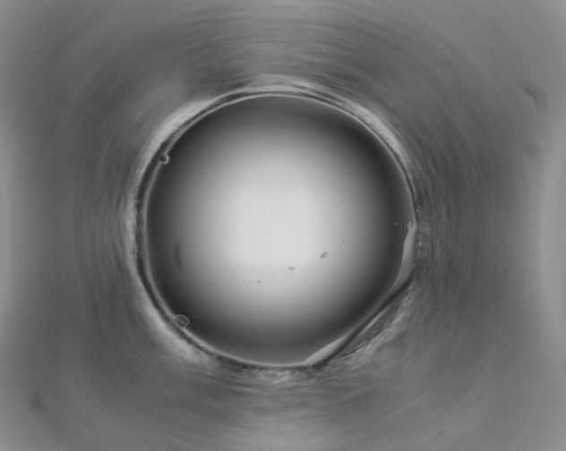 X0000112901003200908211512
