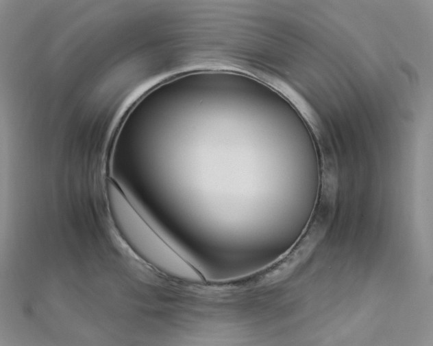 X0000112901004200908211512