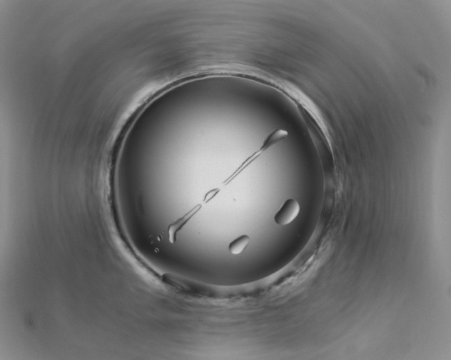 X0000112901005200908211512