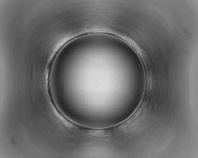 X0000112901006200908211512