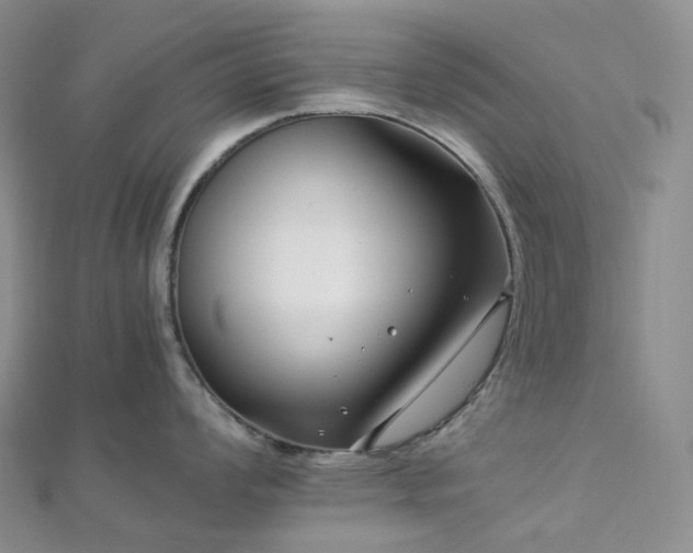 X0000112901008200908211512