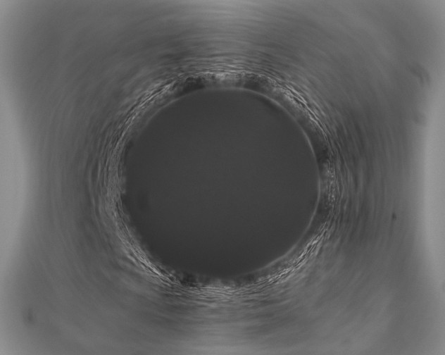 X0000112901009200908211511