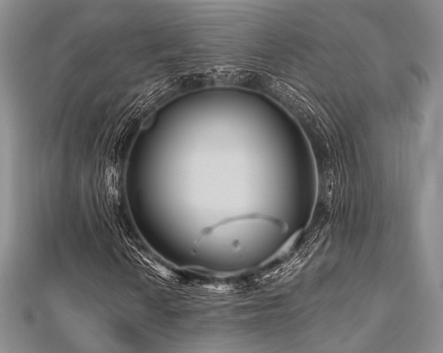 X0000112901010200908211511