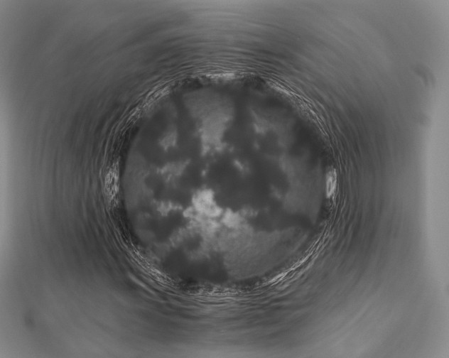 X0000112901011200908211511