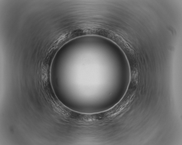 X0000112901012200908211511