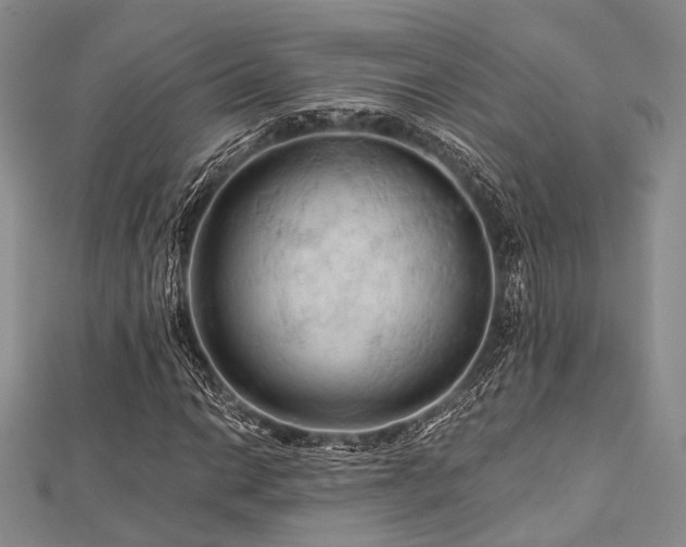 X0000112901014200908211511