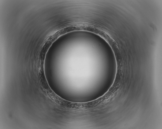 X0000112901016200908211511