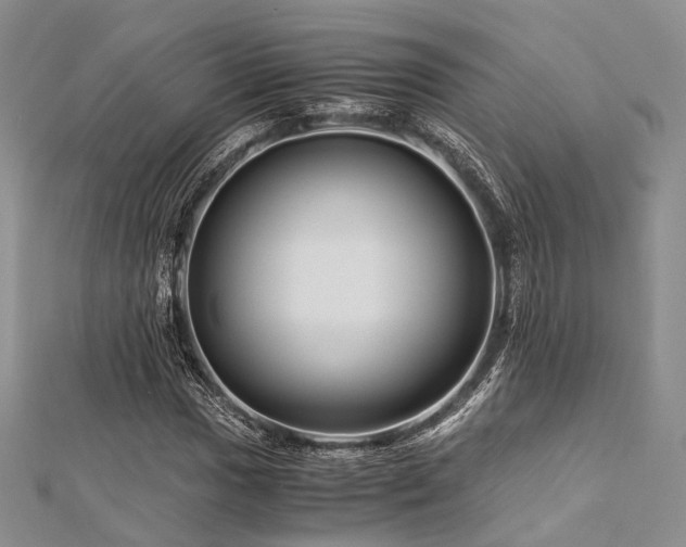 X0000112901017200908211511